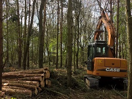 forestry services
